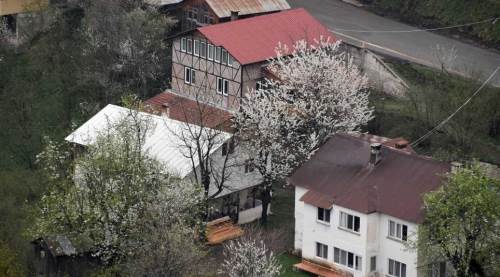 Sakarya'nın o mahallesinde doğa canlandı, renkli çiçekler ortaya çıktı