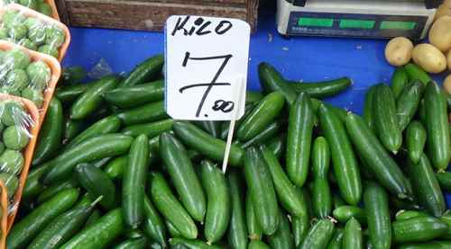 Salatalık fiyatları el yakıyor