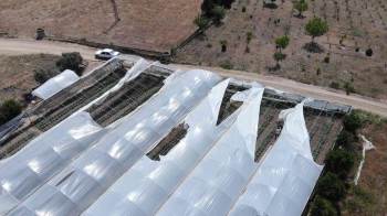 Salatalık Seralarını Hortum Vurdu
