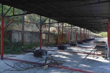 Salça Zamanının Yaklaşmasıyla Söğüt Belediyesi Hazırlıklarını Yaptı
