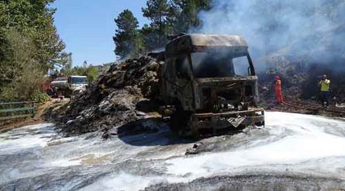 Saman yüklü TIR yandı, alevler ormana sıçradı