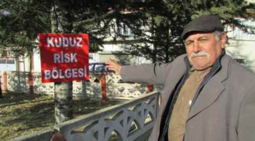 Sandıklı'da kuduz alarmı!