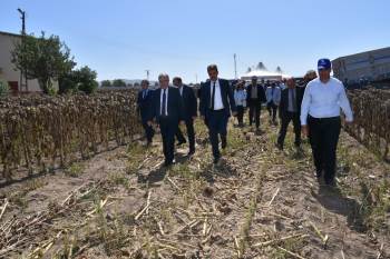 Sandıklı’Da Tarla Günleri Etkinliği
