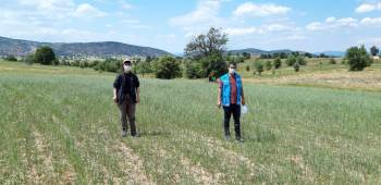 Şaphane’De Ekili Alanlarda Kuraklık Kontrolleri
