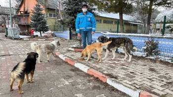 Şaphane’De Sokak Hayvanlarına Mama Desteği
