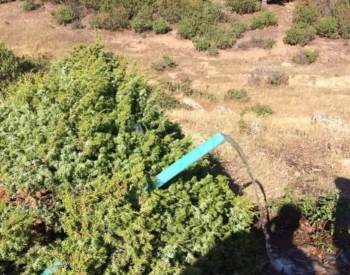 Şaphane’De Su Arama Çalışmaları Başarıyla Sonuçlandı
