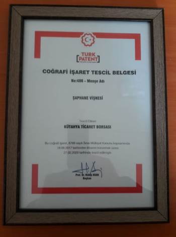 Şaphane Vişnesine Tescil Belgesi
