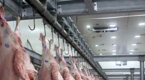 Şarbon paniği! Mezbaha ve havyan pazarı kapatıldı