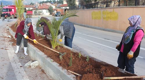 Sarıcakaya artık daha yeşil olacak