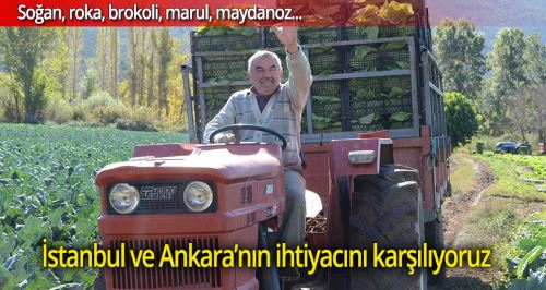 Sarıcakaya yeşillik ihracatına devam ediyor
