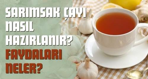 Sarımsak Çayı Nasıl Hazırlanır? Faydaları Neler?