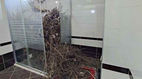 Şaşırtan olay: Eve girdi, hayatının şokunu yaşadı!