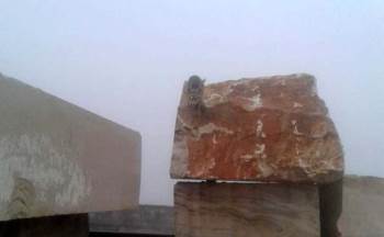 Şaşkın Tilki Akşam Uyumak İçin Çıktığı Yerden İnemedi
