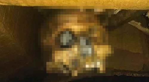 Satın aldıkları evden kadavra çıktı!