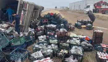 Sebze Ve Meyve Yüklü Tır Devrildi
