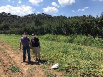 Sebze Ve Meyvelere Zarar Veren Hastalıklara Karşı Mücadele Başlatıldı
