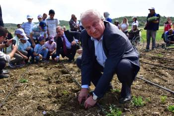 Sebze Yetiştiriciliği Kursu’Nda Fide Ve Tohumlar Toprakla Buluştu
