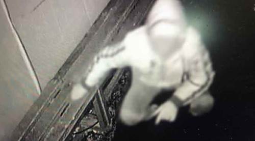 Şehir magandaları şimdi de bunlara göz dikti...