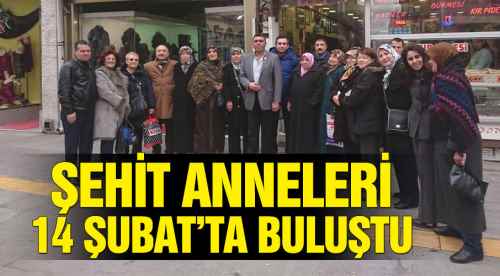 Şehit anneleri 14 Şubat'ta buluştu