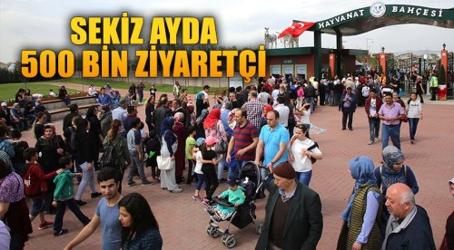 Sekiz ayda yarım milyon ziyaretçi