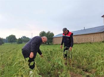 Selden Zarar Gören Tarım Alanlarında Hasar Tespit Çalışması Başlatıldı
