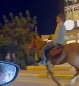 Serdivan’da trafikte atlı sürpriz: Gören dönüp bir daha baktı