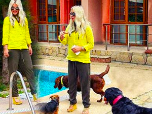 Seren tatile, köpekleri otele