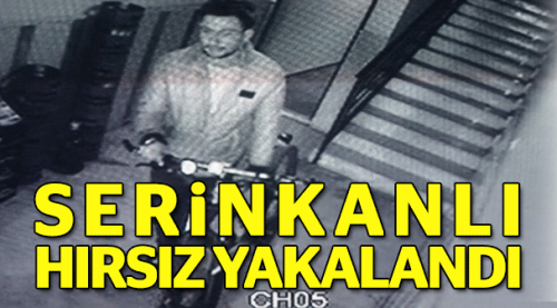 Serinkanlı o hırsız yakalandı