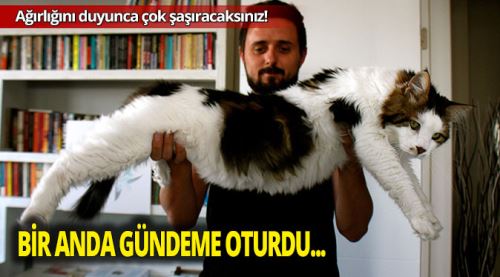 Şevki görenleri şaşkına çeviriyor!