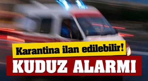 Seyitgazi'de kuduz şüphesi