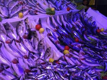 Sezonun İlk Günlerinde En Çok Hamsi Ve Mezgit Tercih Edildi
