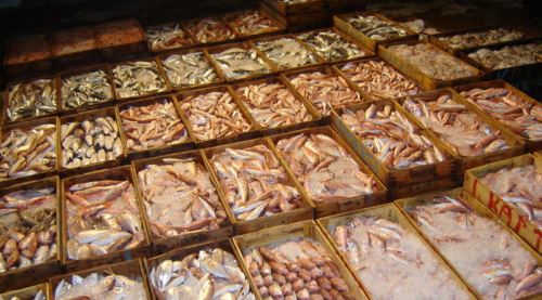 Sıcak hava balık satışlarını vurdu