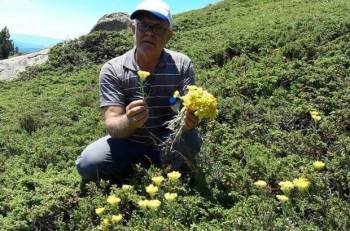 Şifa kaynağı, ancak yılda sadece bir ay...