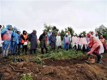 Simav’Da Ağaçlandırma, Silvikültür Tatbikatı
