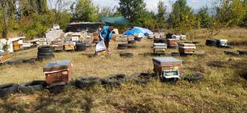 Simav’Da Arıcılık Ve Arılı Kovan Tespit Çalışmaları
