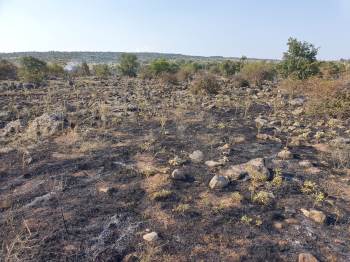 Simav’Da Makilik Alanda Çıkan Yangın Söndürüldü
