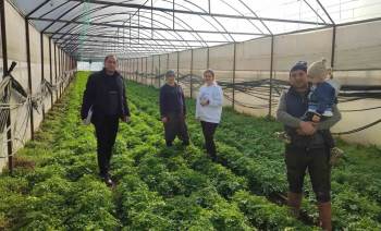 Simav’Da Seralarda Kontrol Ve Örtü Altı Kayıt Güncelleme İşlemleri
