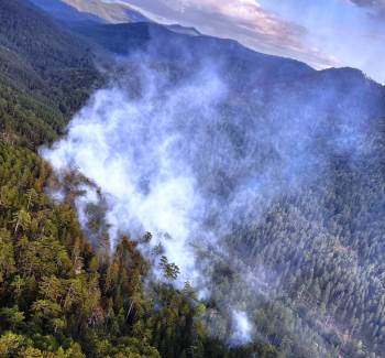 Simav’Da Yıldırım Kaynaklı Çıkan Orman Yangınında 2,5 Hektar Alan Zarar Gördü
