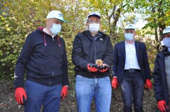 Simav’Da Yılın Son Kestane Hasadını Protokol Üyeleri Yaptı
