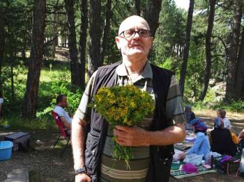 Simav Gölcük Yaylası’Nda Piknikçilerin Gözdesi ’Sarı Kantaron Otu’
