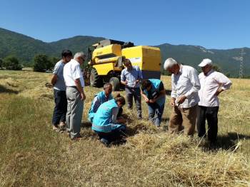 Simavlı Çiftçilere ‘Biçerdöver’ Uyarısı
