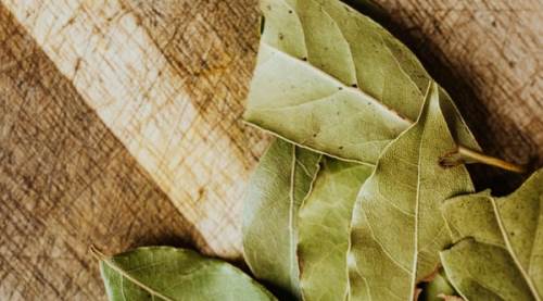 Şimdi Banyonuza Bir Defne Yaprağı Asın: Bakın Ne İşe Yarıyormuş!