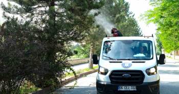 Sinek Ve Haşere İle Mücadele
