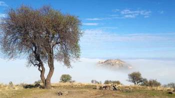 Sis Altındaki Tarihi Karahisar Kalesi Kartpostallık Manzaralar Oluşturdu
