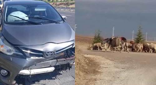 Sivrihisar’da yola bir anda fırladı! Sürüden çıkan koyun telef oldu
