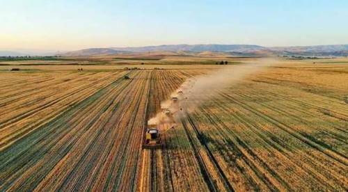 Sivrihisar'daki kötü tablo bile her şeyi açıklıyor!