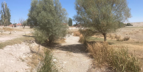 Siyasiler kavga etti, Eskişehir beklenen felaketle karşılaştı!