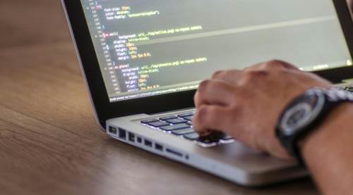 Software Developer Ne Demek?