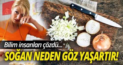 Soğan neden göz yaşartır! Sırrı çözüldü