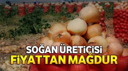 Soğan üreticisi fiyattan mağdur